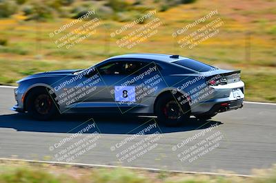 media/Apr-06-2024-Extreme Speed (Sat) [[3431b70655]]/Red-Advanced/Session 1-The Bowl/
